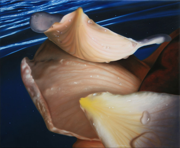 Rose Petals over Water by Marcel Desbiens