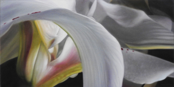 Lily Composition by Marcel Desbiens