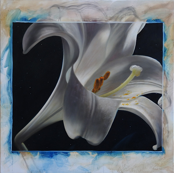 Revealed by Marcel Desbiens