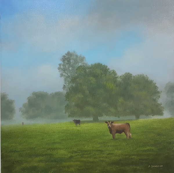Cows in the Mist by Marcel Desbiens