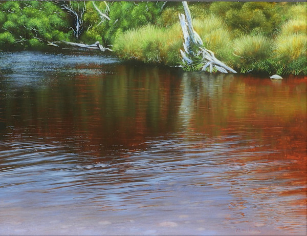 Tasmania Lake Reflection by Marcel Desbiens