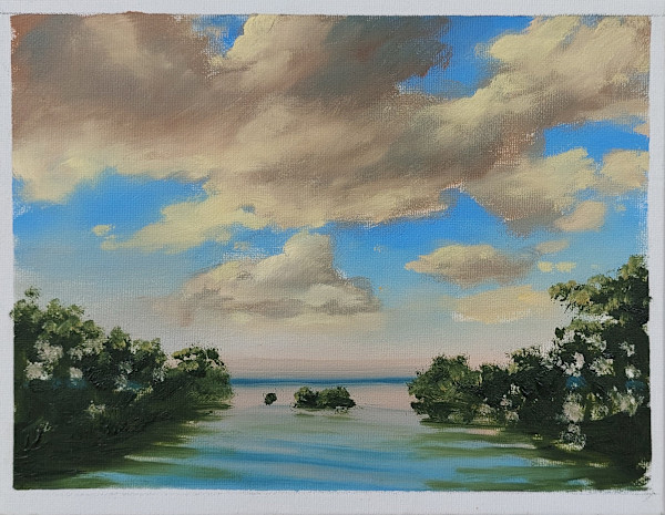 Sketch of mangrove at high tide by Marcel Desbiens