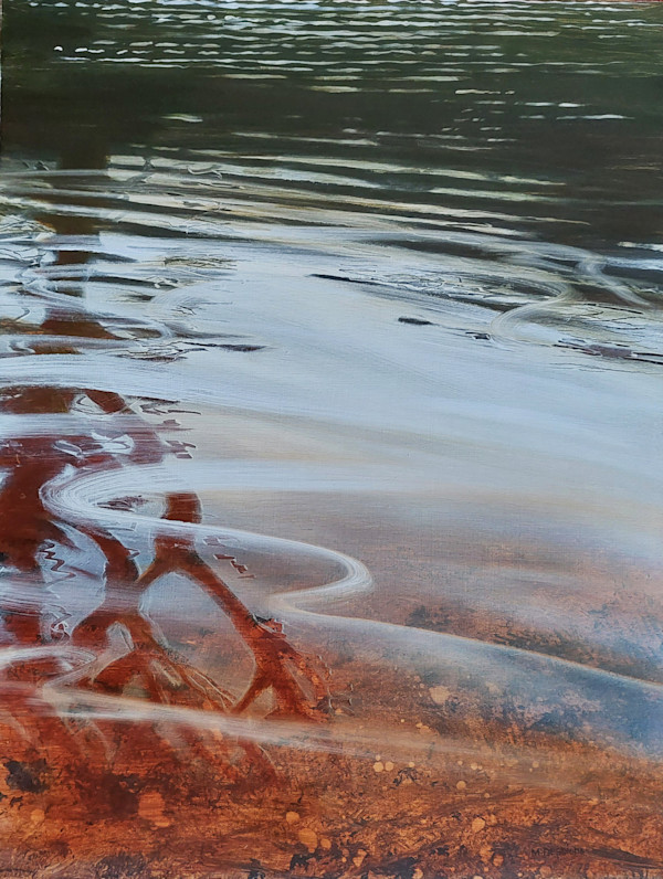 Poona Reflection by Marcel Desbiens