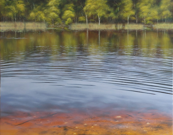 Ready to Swim by Marcel Desbiens