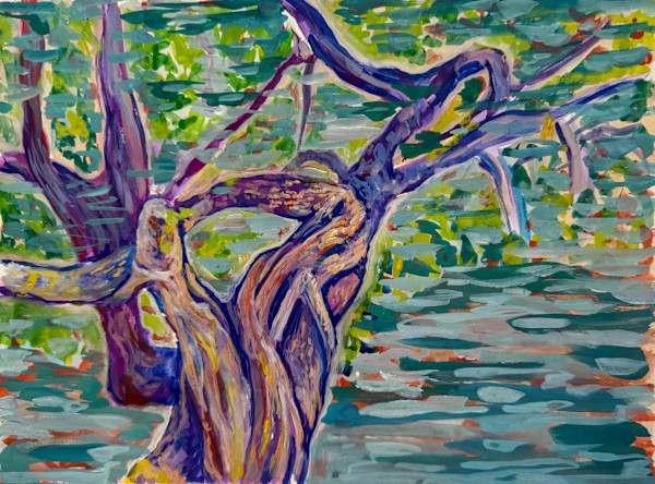 Banyon - Costa Rica by Laurie Shapiro