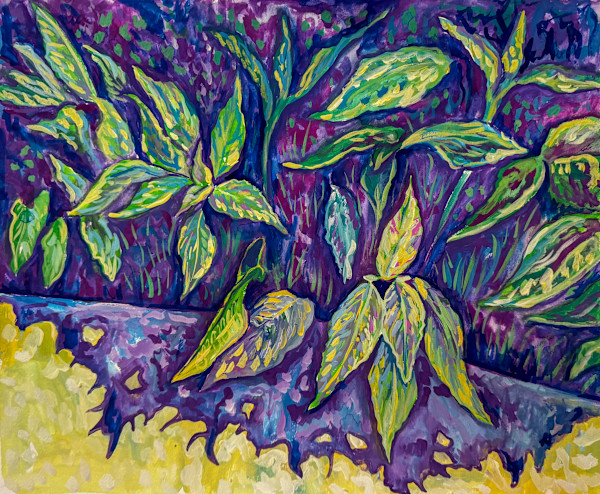 House Leaves - Costa Rica by Laurie Shapiro