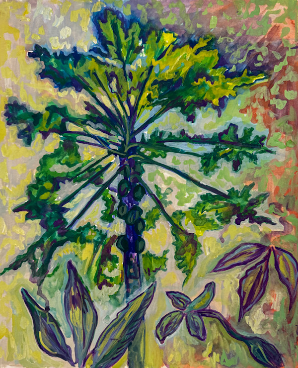 Papaya Tree - Costa Rica by Laurie Shapiro