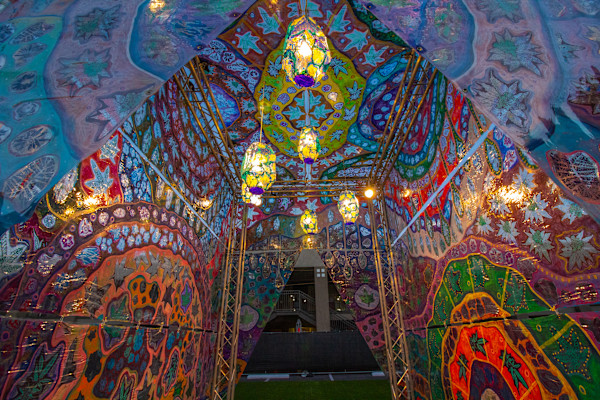 Flowers Are Not a Crime by Laurie Shapiro