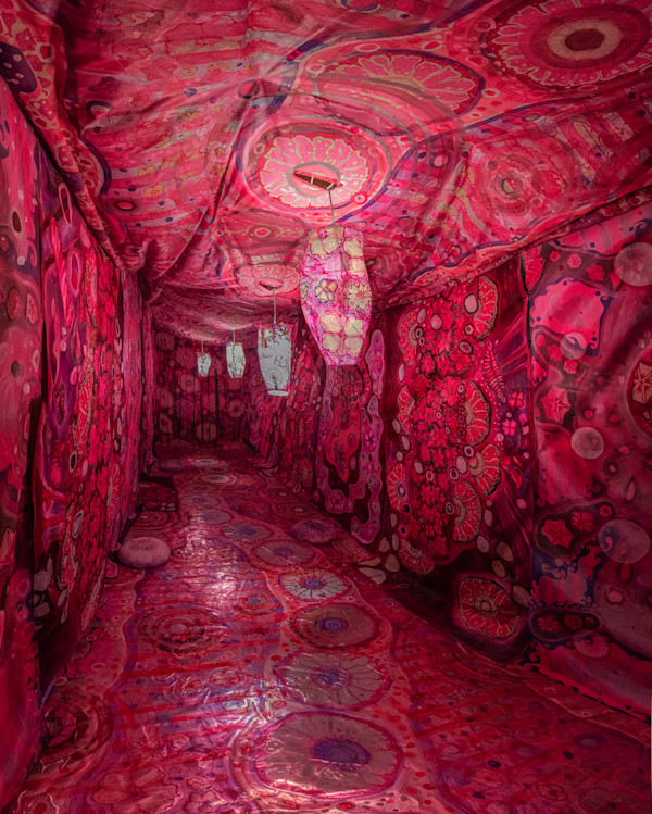 Red Room by Laurie Shapiro