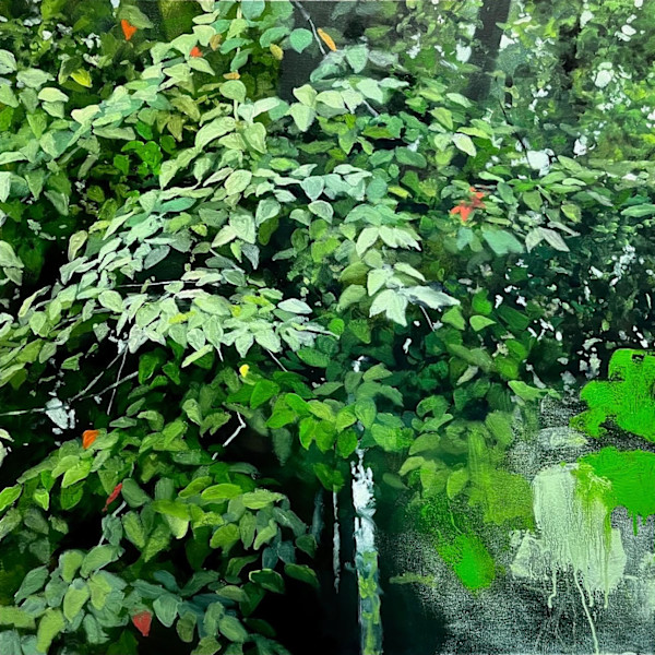 things behind things by Peter Roux
