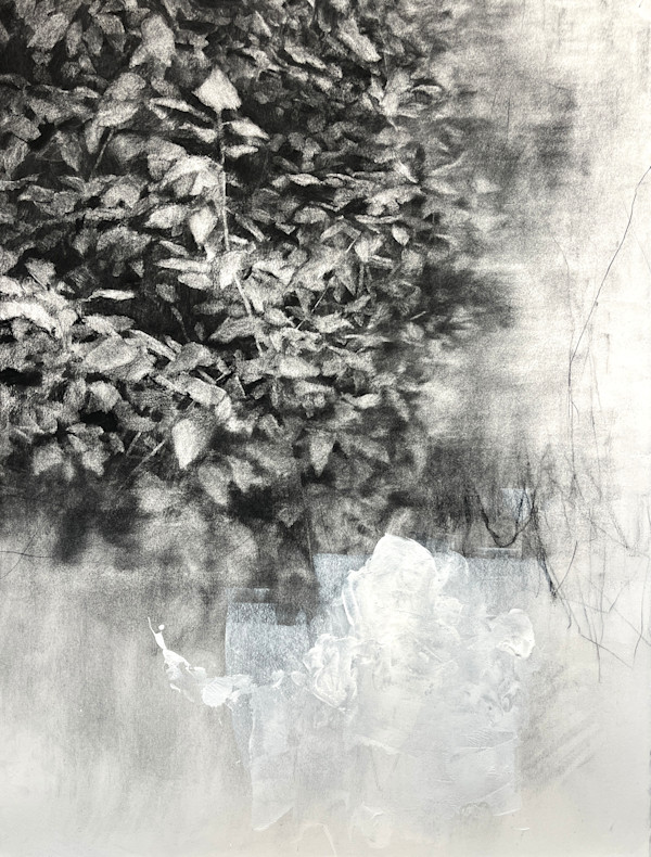 entangled no.4 by Peter Roux