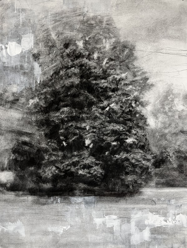 a tree for the absent by Peter Roux