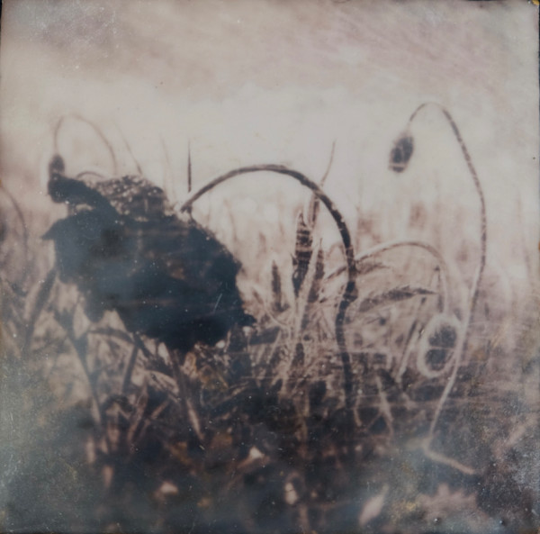 The Shadow Realm by Lynnette Hunter, Image 1.