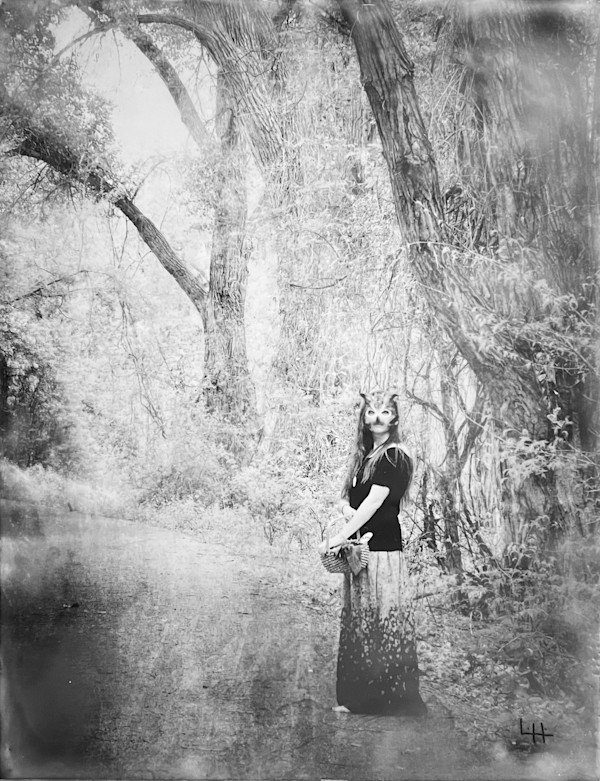 The Long Way Home by Lynnette Hunter, Image 1.