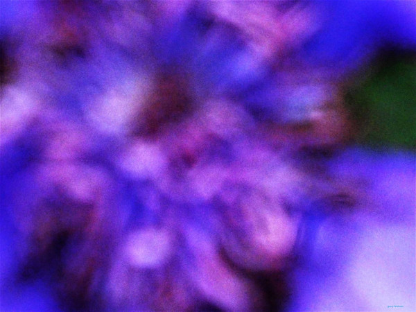 Blueness by GERRY FELDMAN, Image 1.