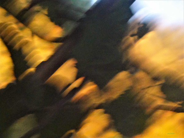 Reaper by GERRY FELDMAN