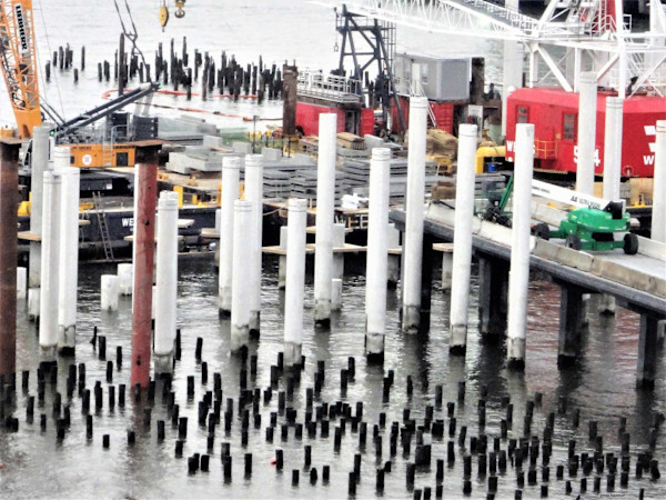 At the Shore by GERRY FELDMAN