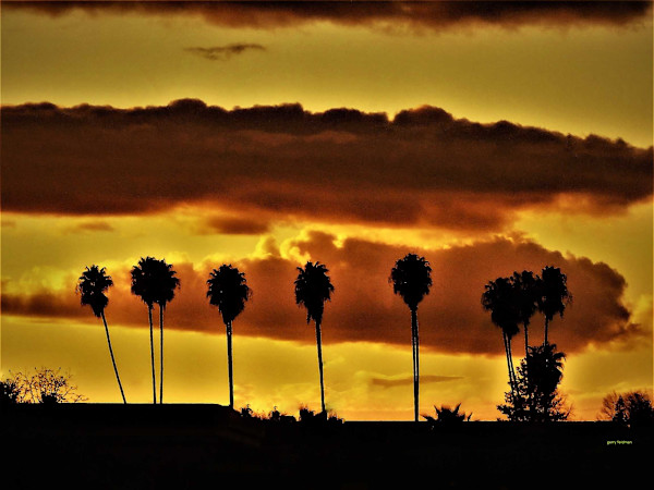 Dreamers' Lookout by GERRY FELDMAN