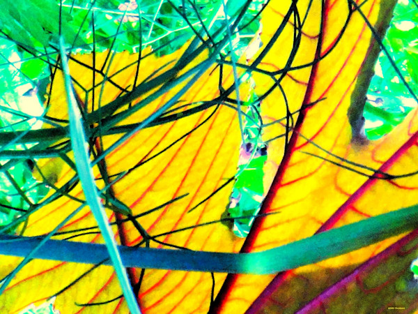 A Happy Day by GERRY FELDMAN