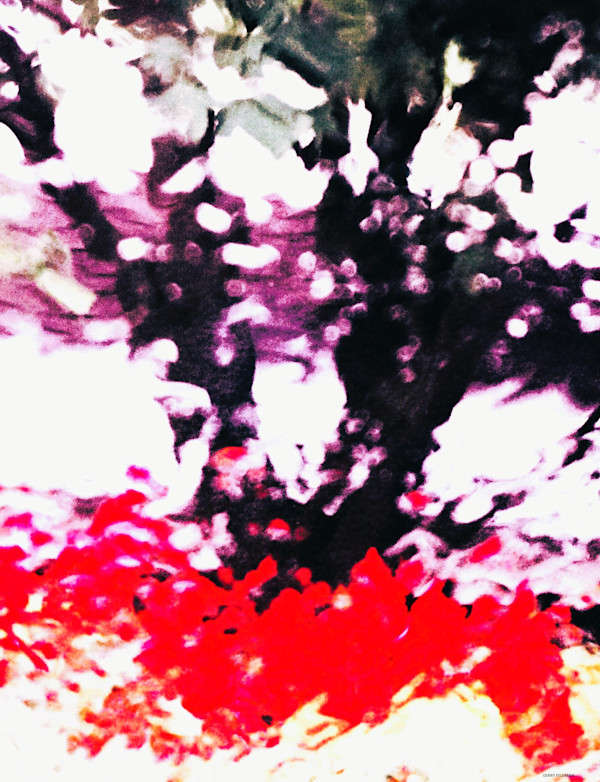 At the Park by GERRY FELDMAN, Image 1.