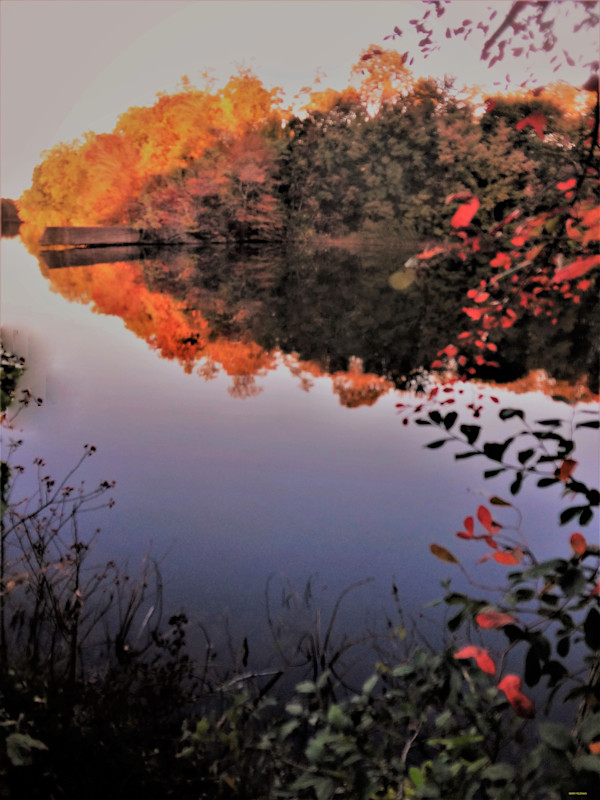 Autumn Lake by GERRY FELDMAN, Image 1.