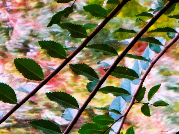 Balance by GERRY FELDMAN