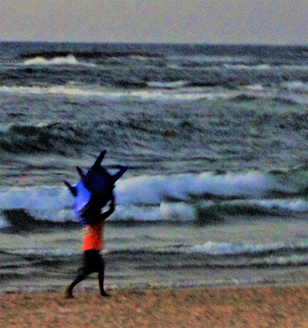 By the Sea by GERRY FELDMAN