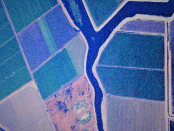 Confluence by GERRY FELDMAN