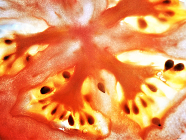 Creepy by GERRY FELDMAN, Image 1.