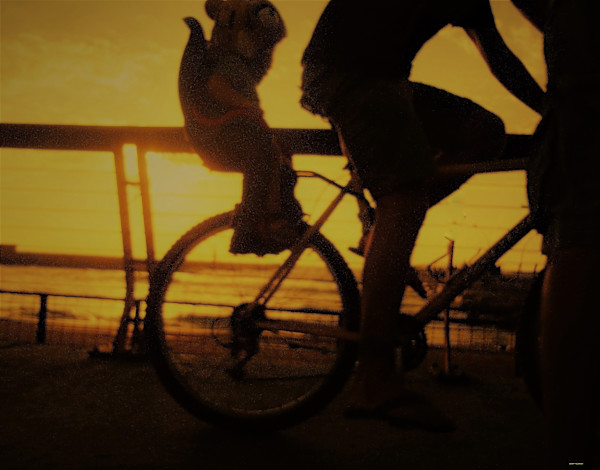 Cycle Partners by GERRY FELDMAN