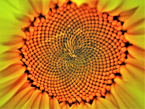 Here Comes the Sun by GERRY FELDMAN