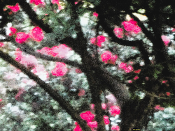 Dark but Hopeful by GERRY FELDMAN, Image 1.