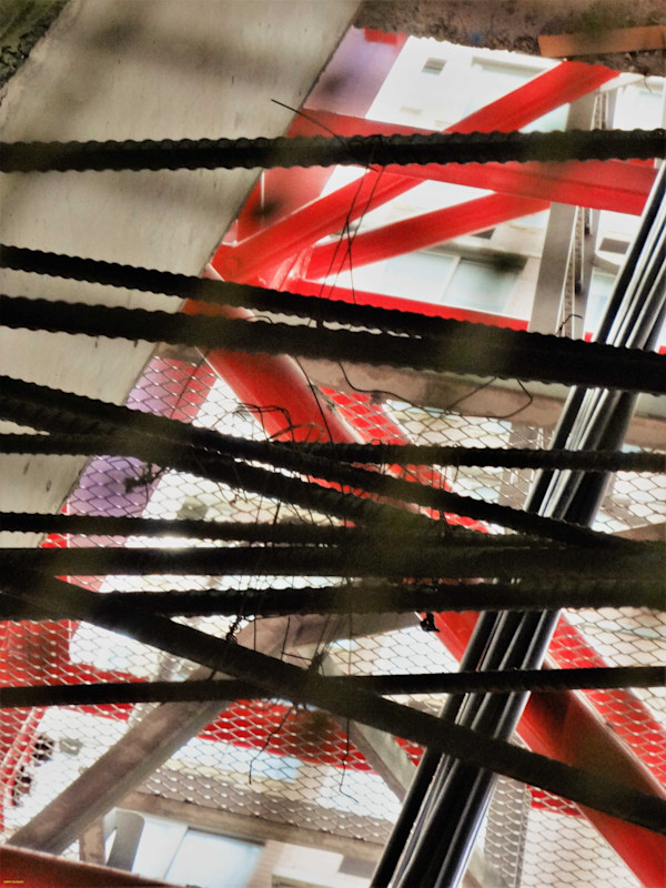 Discovered Check by GERRY FELDMAN