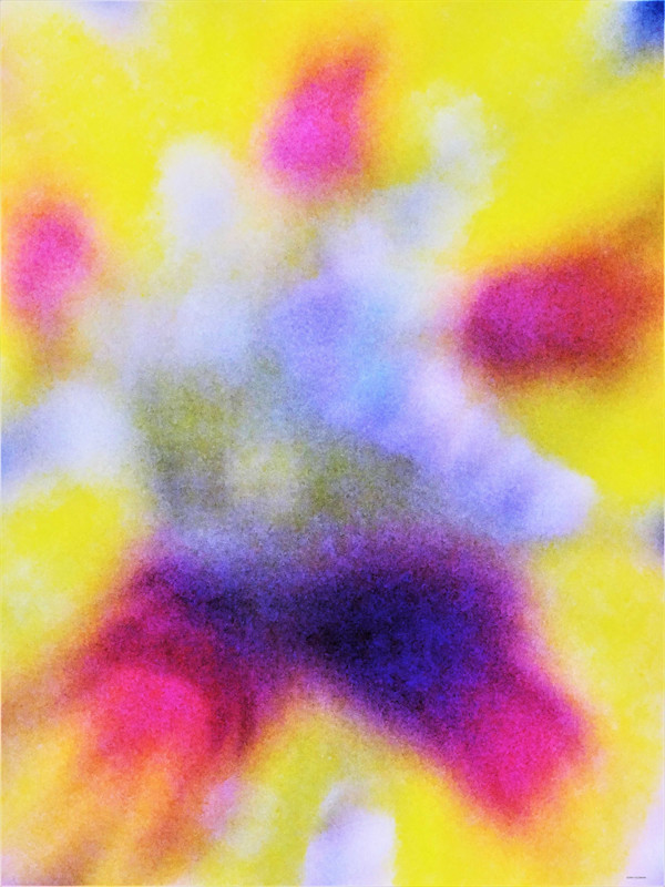 Flower Clown by GERRY FELDMAN