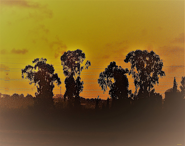 Friends by GERRY FELDMAN, Image 1.