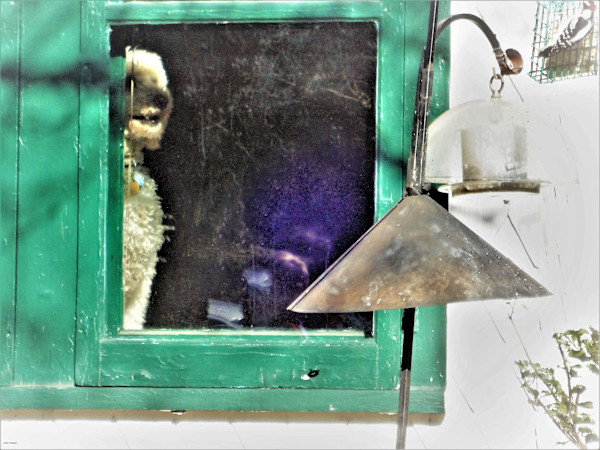 Glee by GERRY FELDMAN