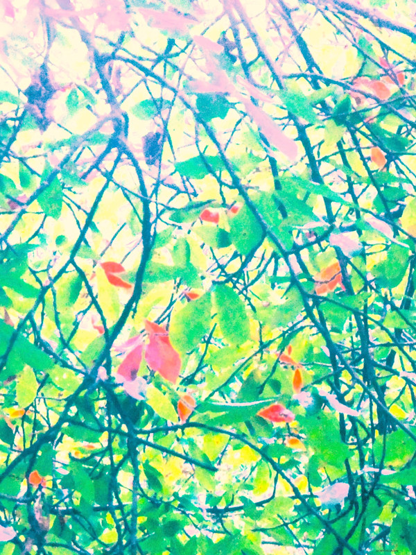 Hang It Green by GERRY FELDMAN, Image 1.