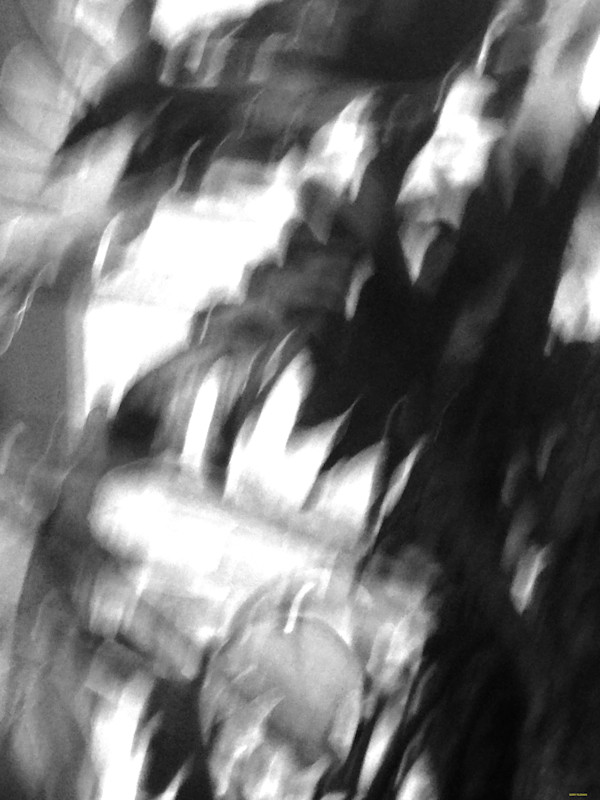 Havoc by GERRY FELDMAN