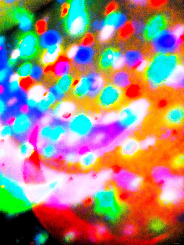 Heavenly Bodies by GERRY FELDMAN