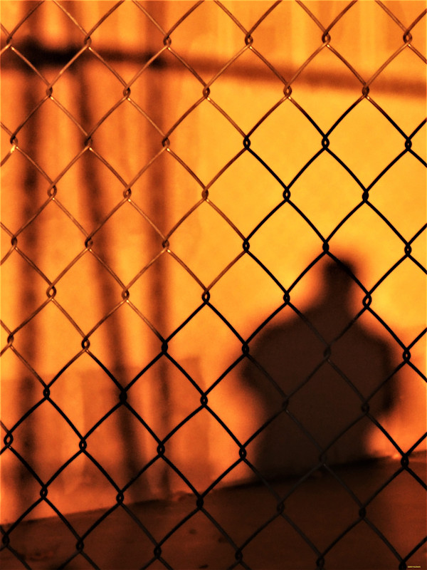 In Hiding by GERRY FELDMAN, Image 1.