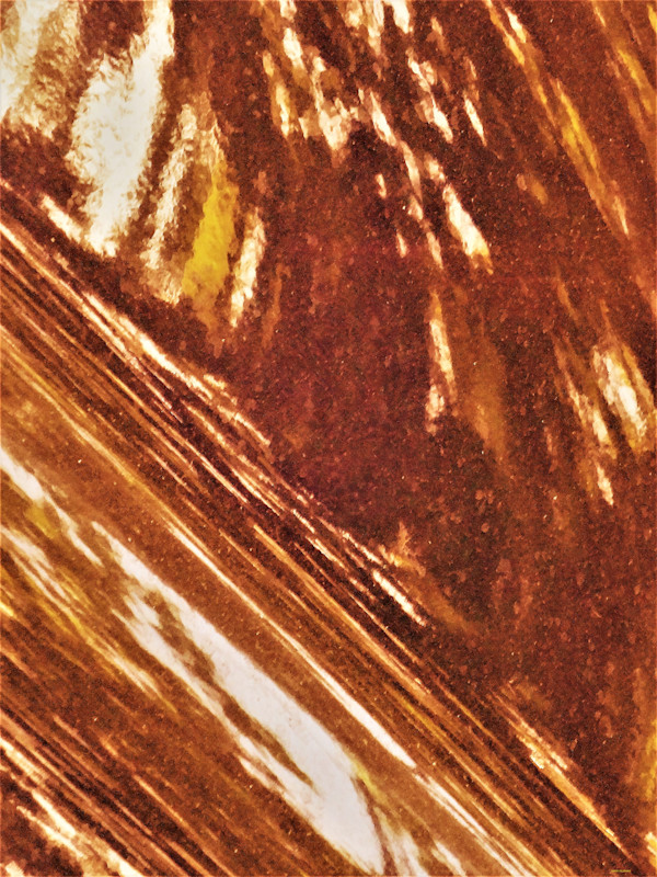 In the Forest by GERRY FELDMAN, Image 1.