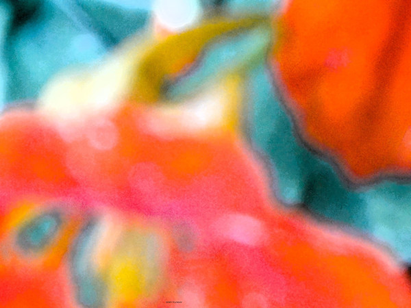 Invasion by GERRY FELDMAN, Image 1.