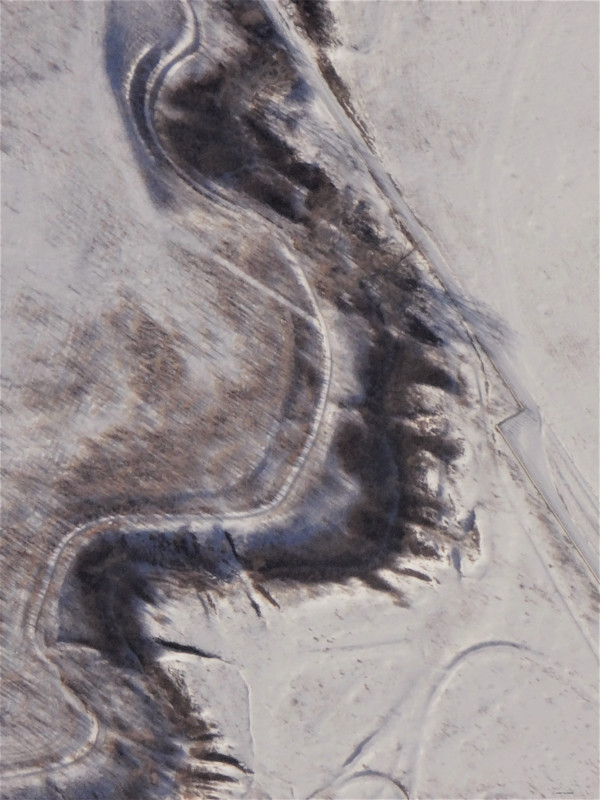 It's Alive by GERRY FELDMAN, Image 1.