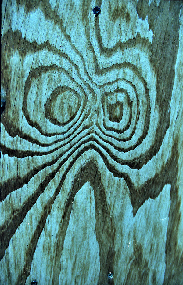 Knothole by GERRY FELDMAN