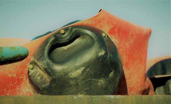 Last of the Just by GERRY FELDMAN