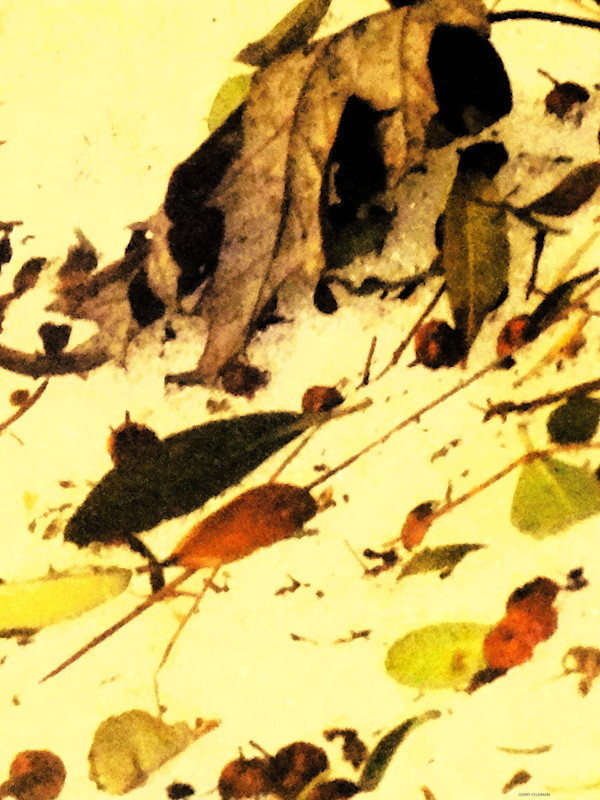 Leaves of Autumn by GERRY FELDMAN