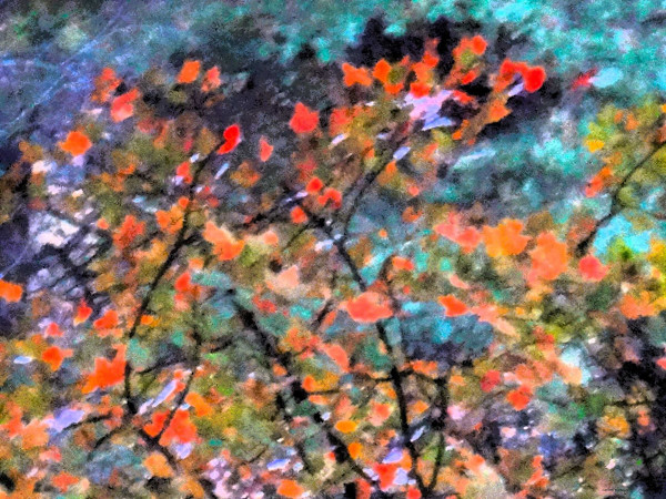 Leaves over Happiness by GERRY FELDMAN