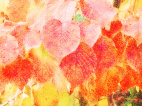 Overlaps by GERRY FELDMAN