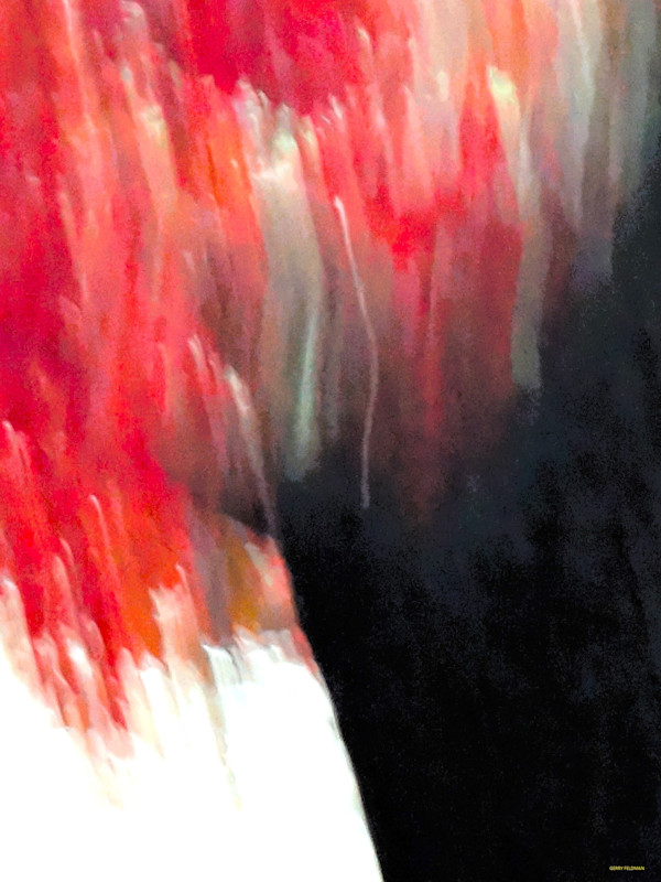 Red Shed by GERRY FELDMAN