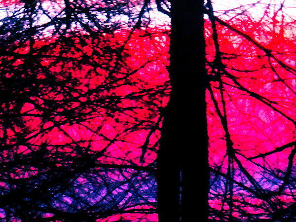 Red Sky at Morning by GERRY FELDMAN